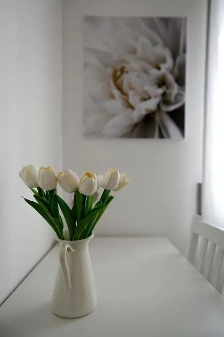 Peaceful Hideaway Apartment Rome